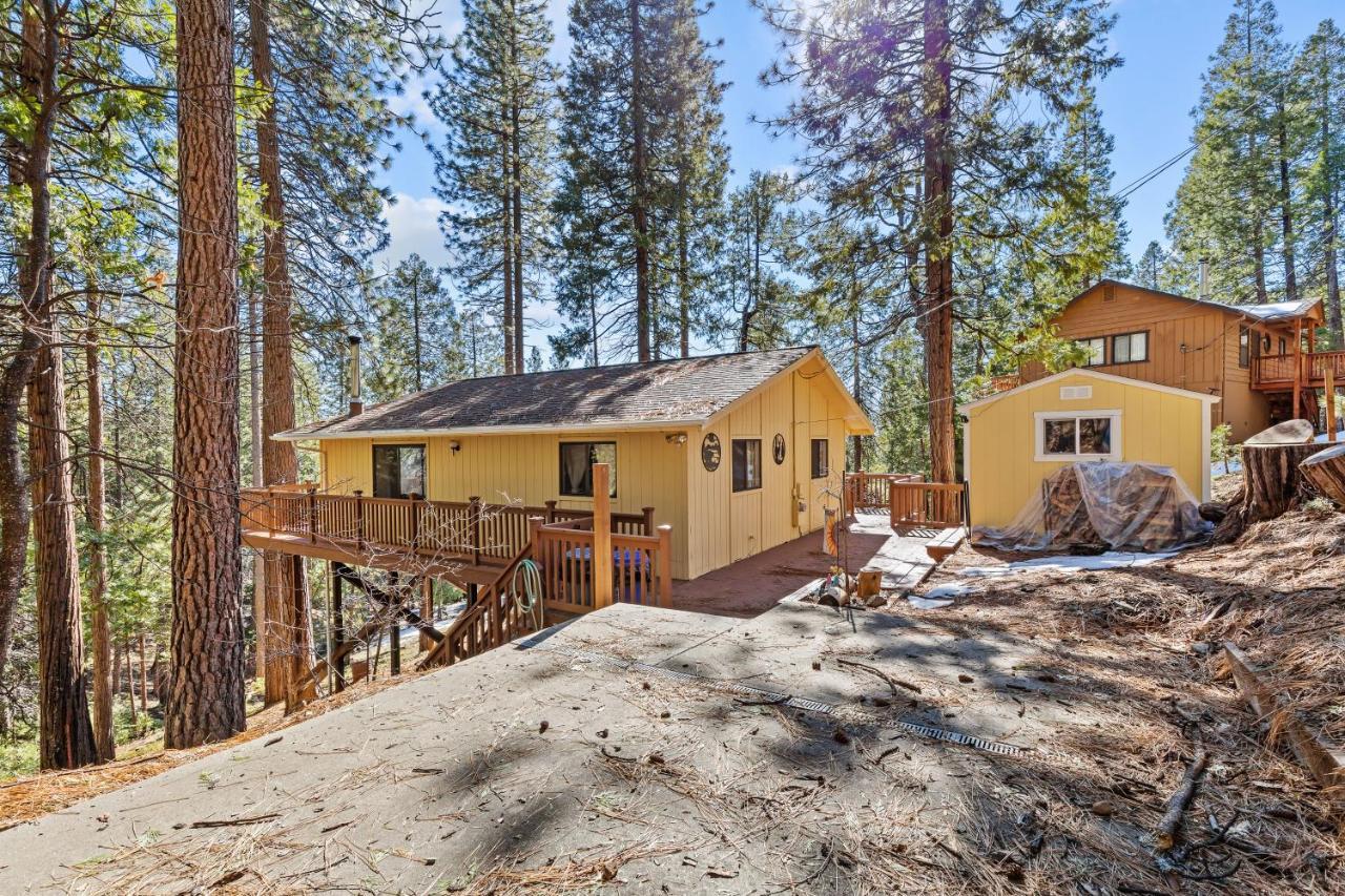 Big Trees, Little Cabin 아놀드 외부 사진